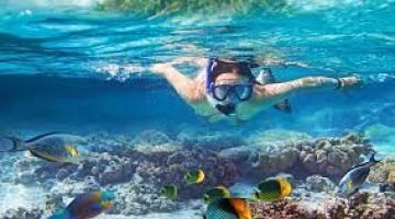 Snorkeling at Gamat Bay Nusa Penida Bali